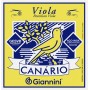 ENCORDOAMENTO VIOLA CAIPIRA COM BOLINHA MEDIA GESVB CANARIO GIANNINI